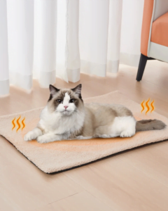 Self-Warming Bed for your Cat That Keeps Them Snug