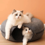 Cave Bed for Multiple Cats: The Ultimate Cozy Den