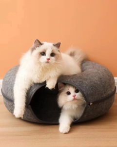 Cave Bed for Multiple Cats: The Ultimate Cozy Den