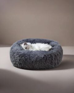 Calming Cat Bed for Best Comfort and Ortho Friendly