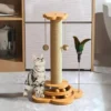 Kitten Scratcher with Cat Toy Ball and Scratch Post