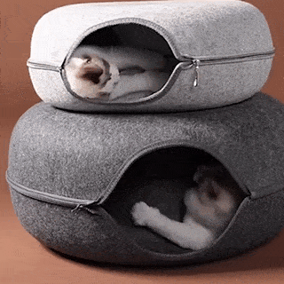 cat cave bed