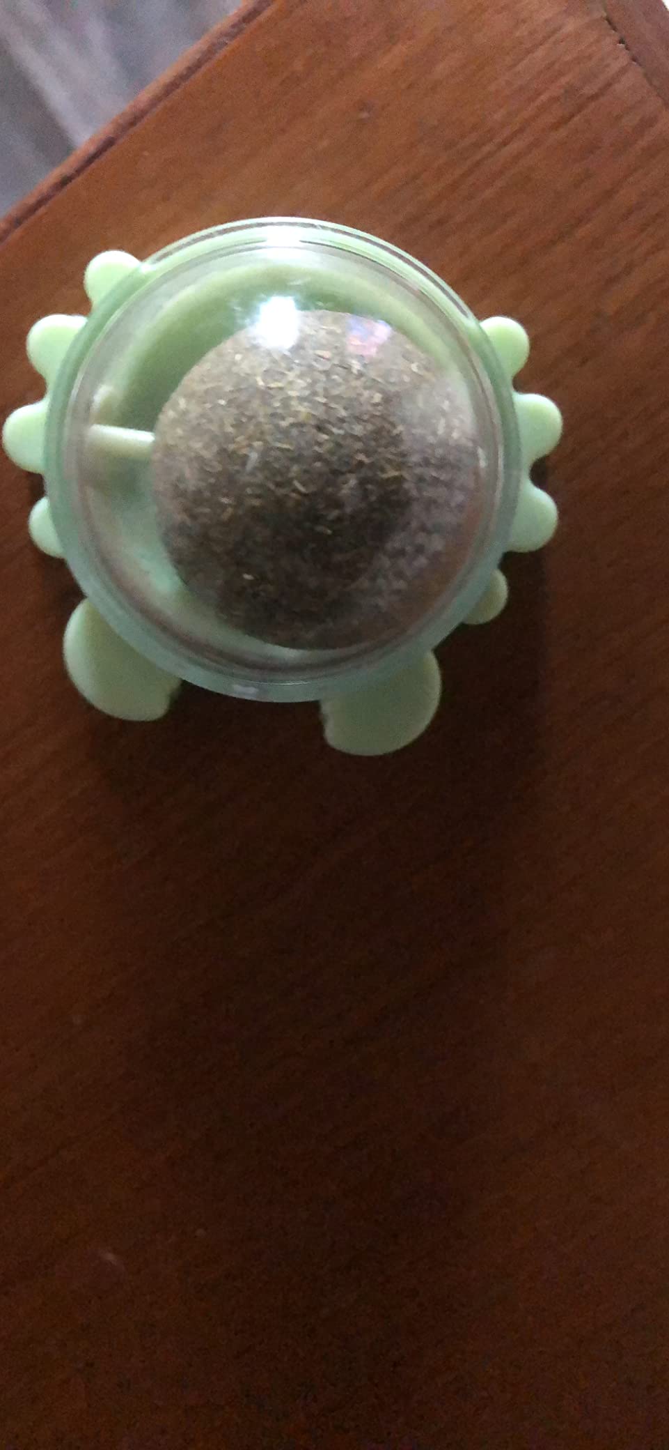 Photo by Karen Turner