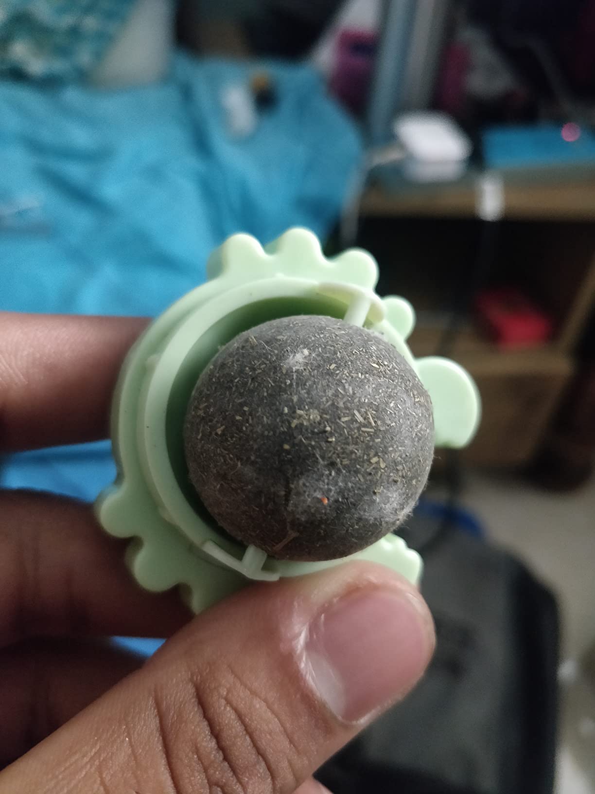 Photo by George Parker