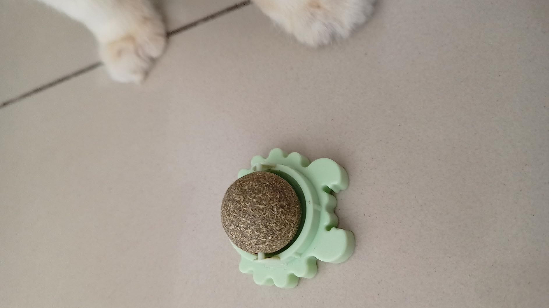 Photo by Donald Phillips