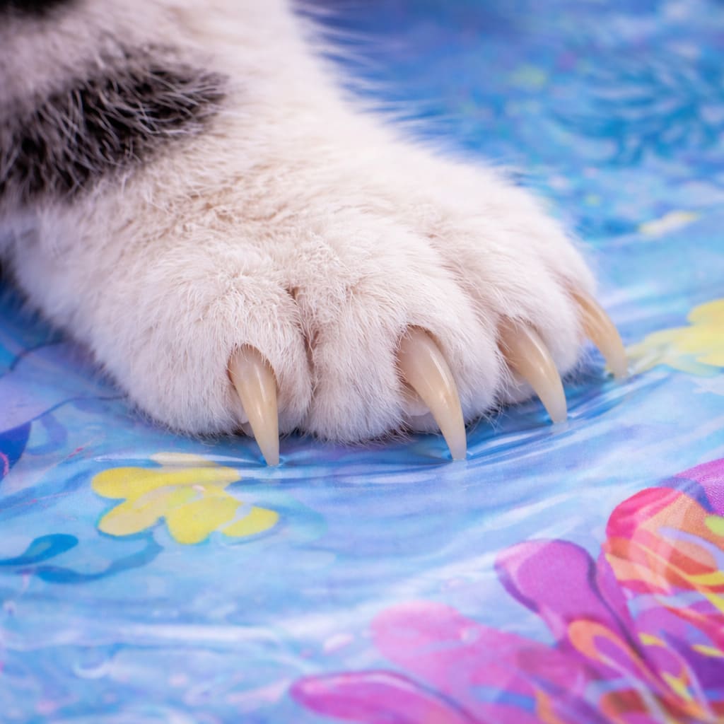 Cat claw pressing into reinforced PVC โ no puncture