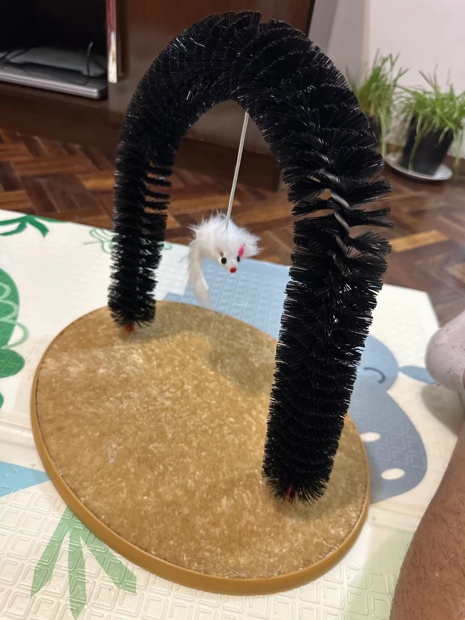 Photo by Henry Robinson