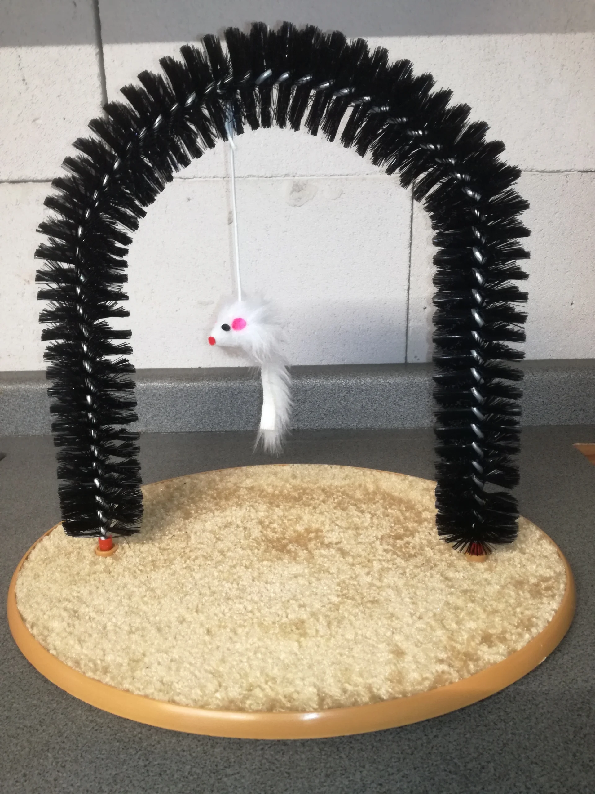 Photo by William Gonzalez