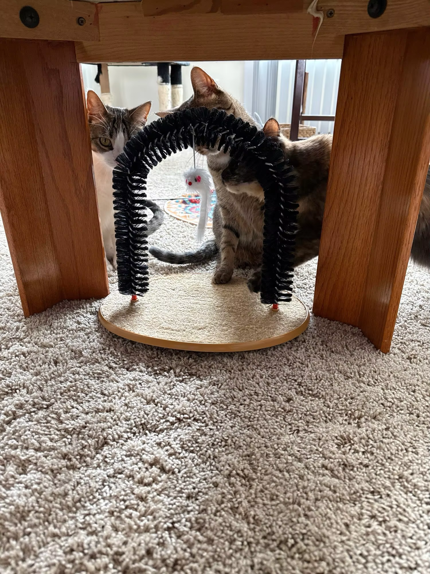 Photo by Abigail Ramirez