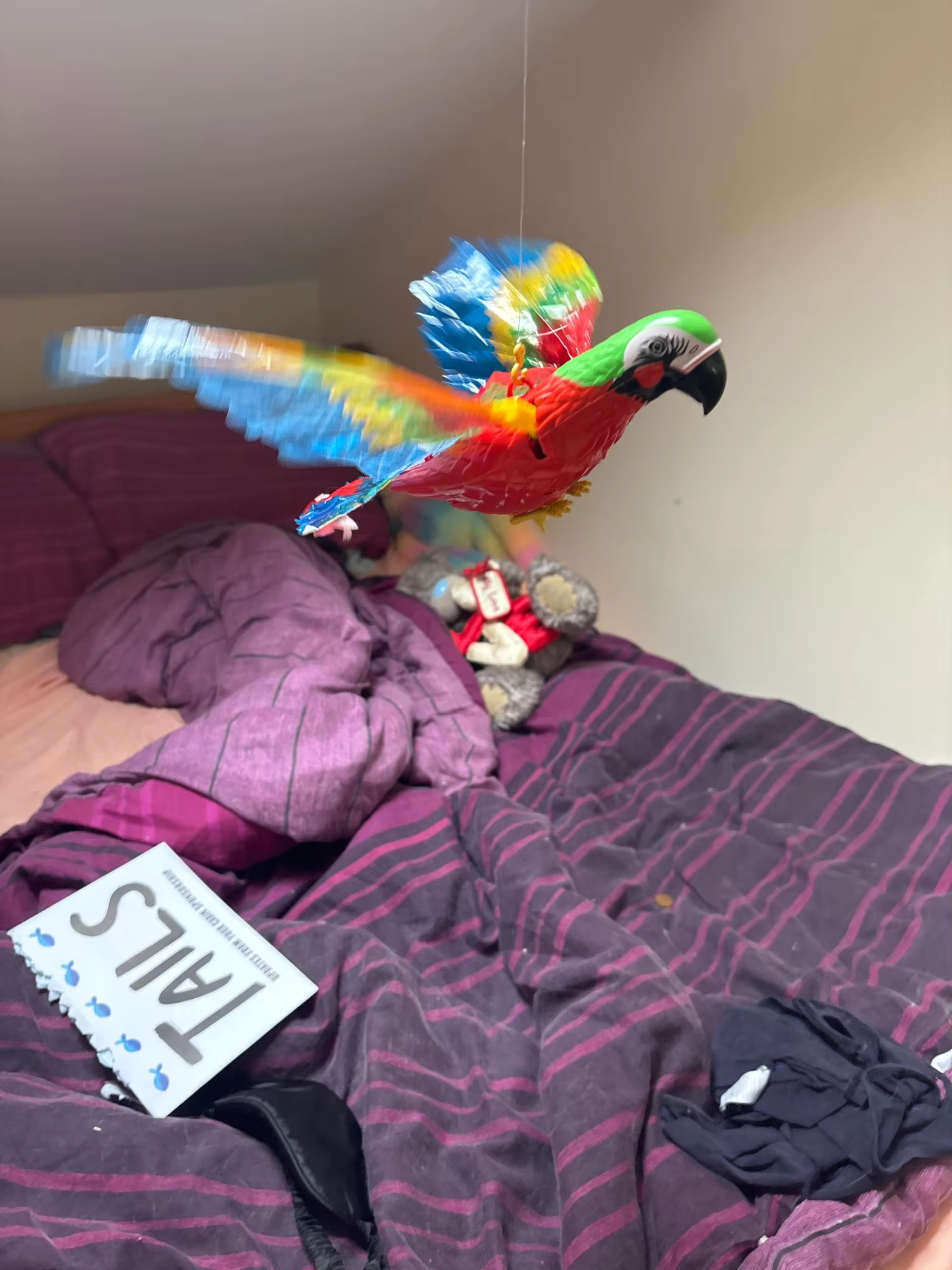 Photo by Jessica Hall