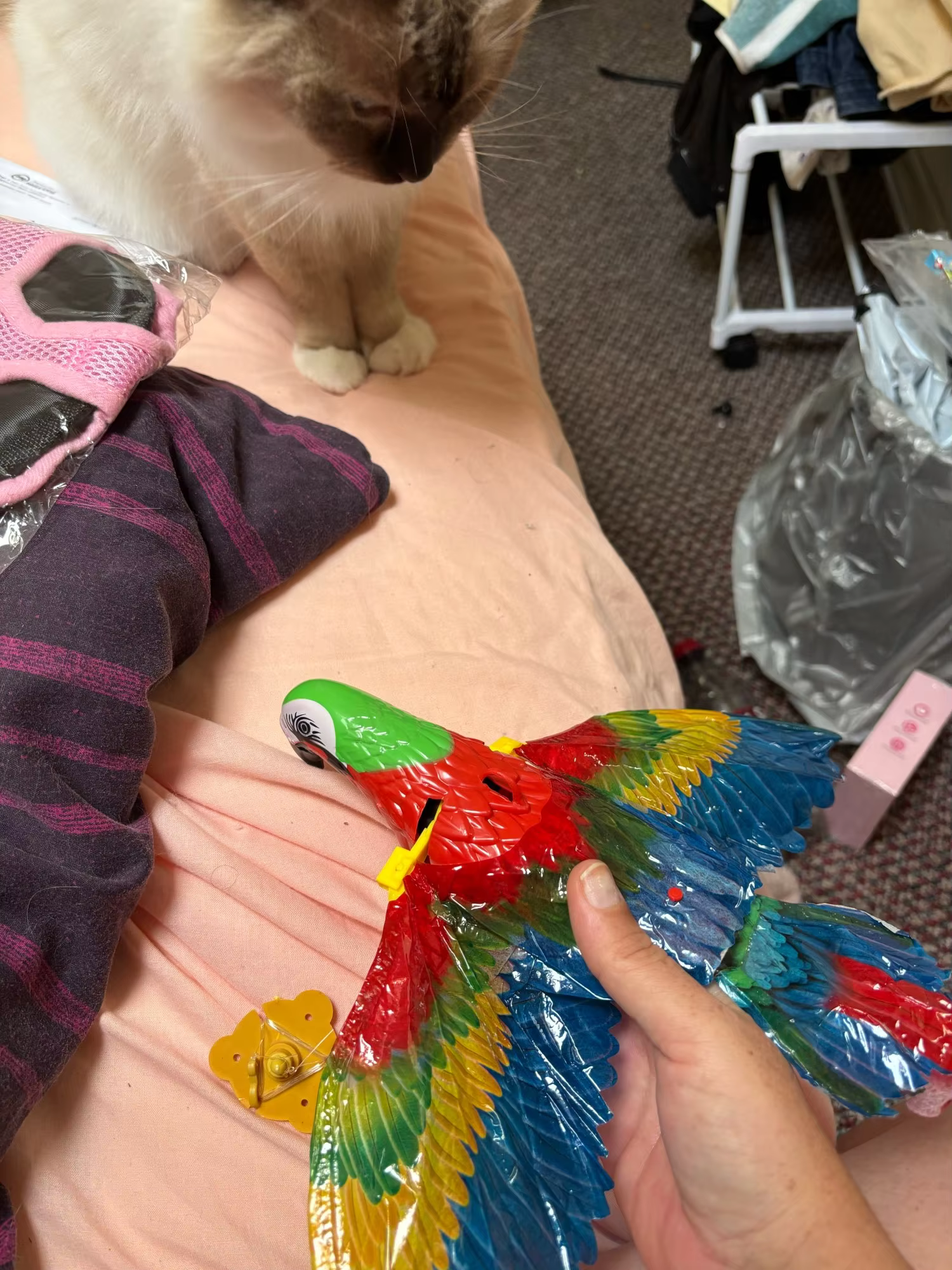 Photo by Jessica Hall