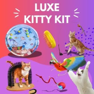 LUXE KITTY KIT - A Bundle Fit for Royalty
