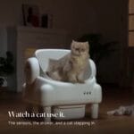 cleannest-open-top-self-cleaning-litter-box-video-cat-using-it