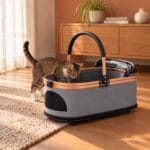Large tabby cat stepping into the open gray cat carrier, hood folded down, on a living-room floor
