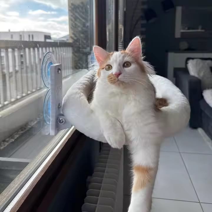 Customer's cat with PawKitty product