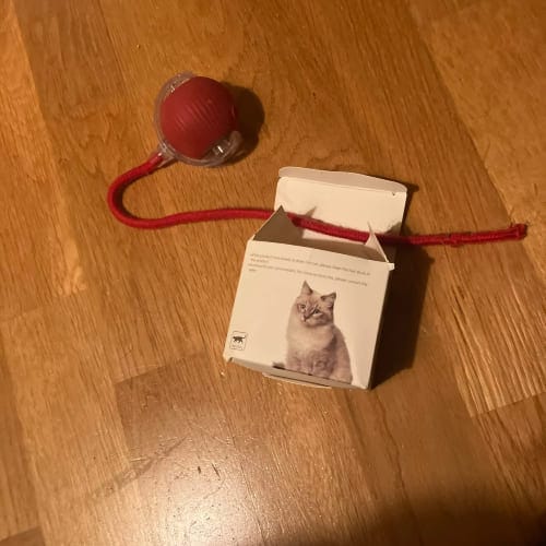 Customer cat with water mat and LED ball