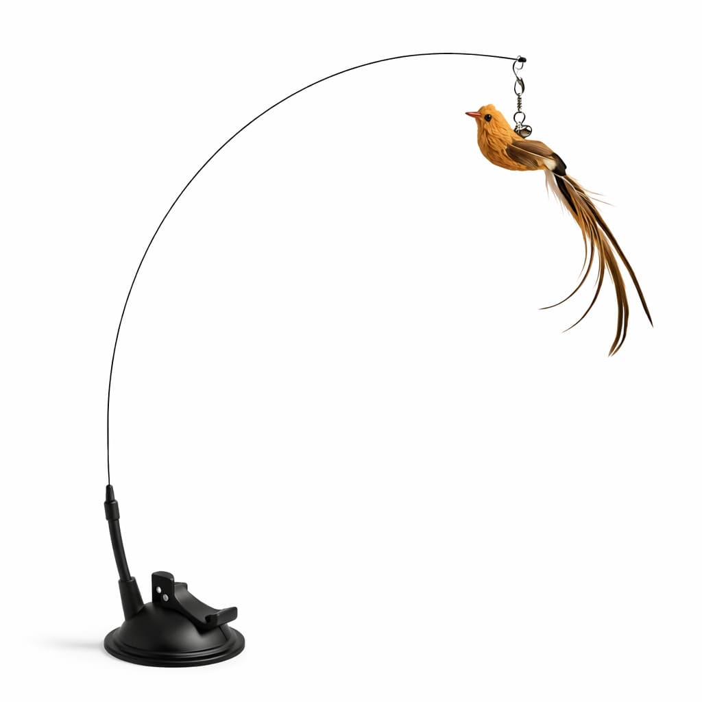 Interactive bird cat toy - annotated diagram showing spring steel wire, feathers, weighted suction base