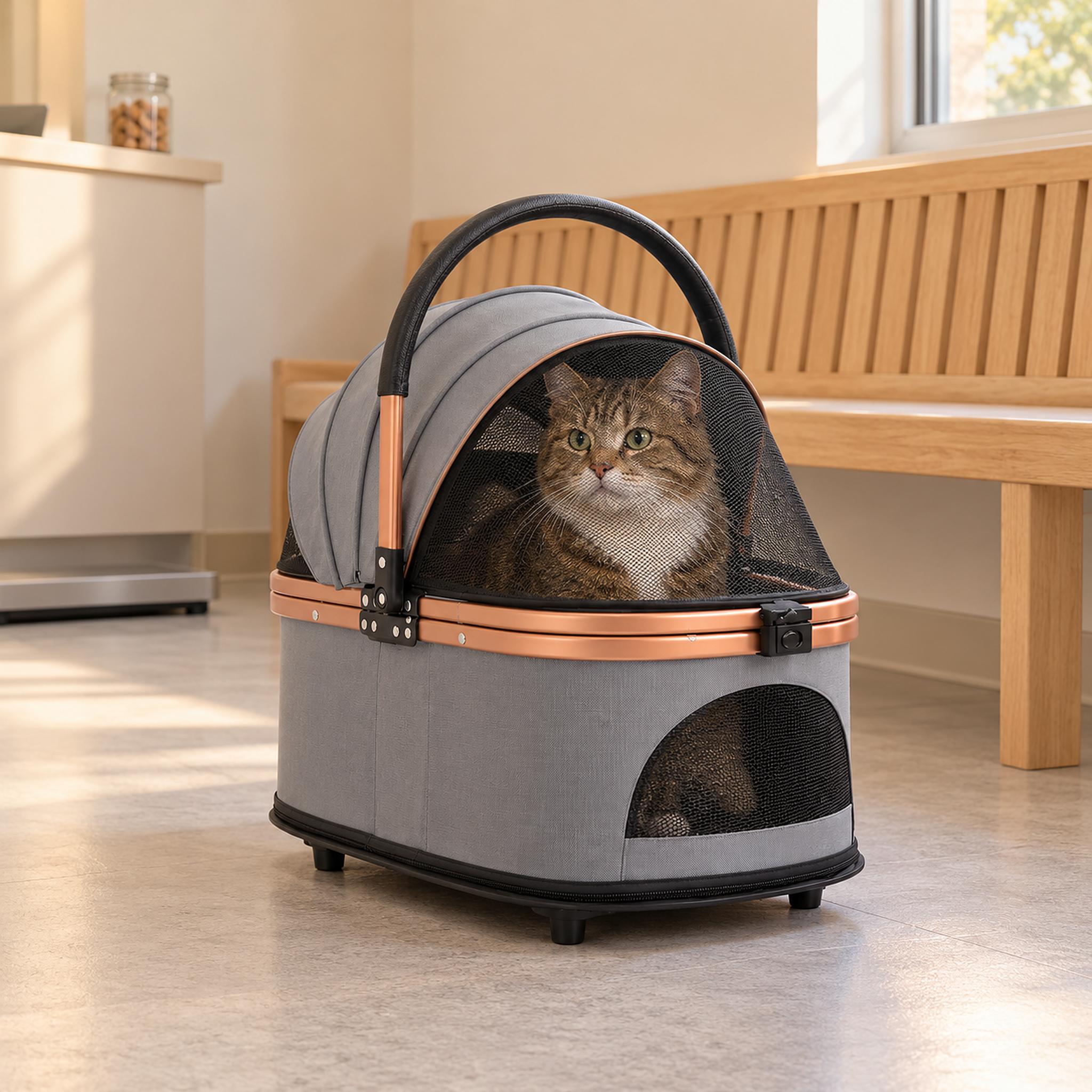 Gray cat carrier on a vet waiting-room floor with a tabby cat sitting up behind the mesh hood