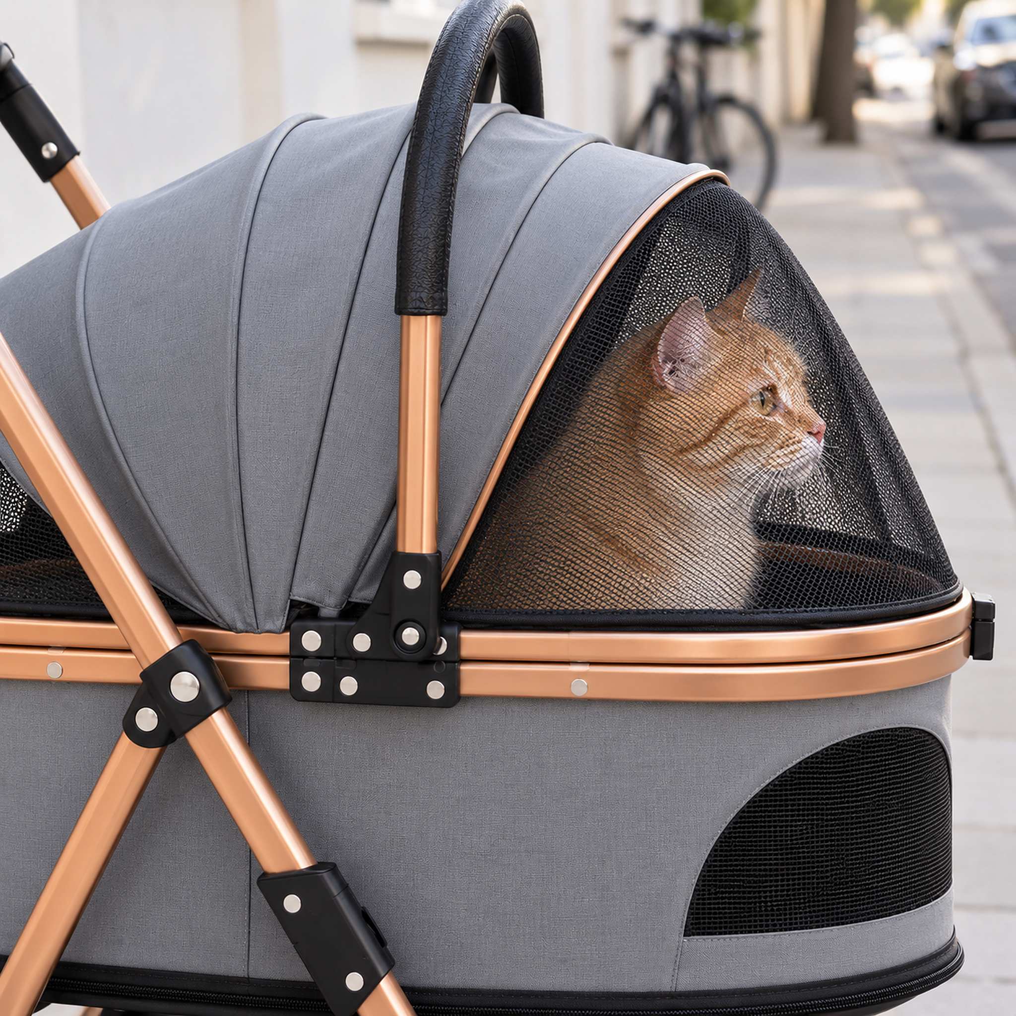 Orange tabby cat sitting behind the closed mesh hood of a gray cat stroller, seen from the side on a sidewalk